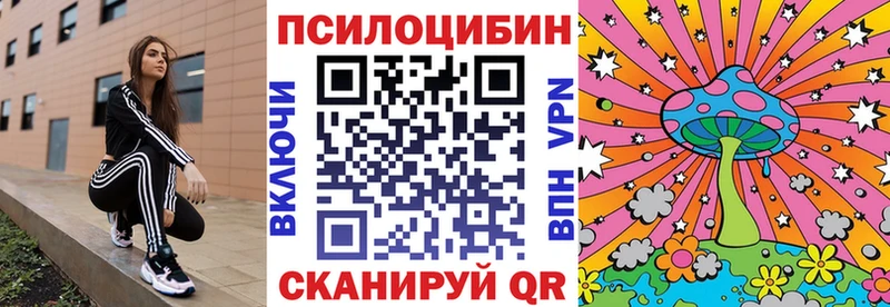 blacksprut как зайти  Динская  Галлюциногенные грибы мухоморы 